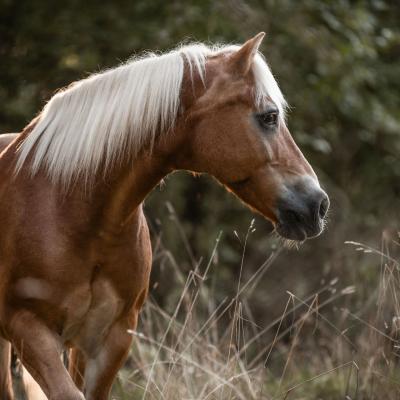 20210905 6220 Max 2 3