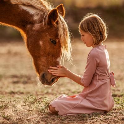 20221113 Pferde Arrieta 439 Nz9 4179