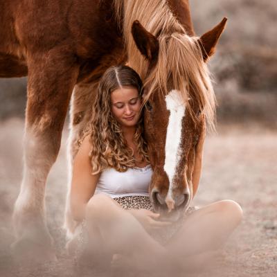 20221113 Pferde Arrieta 821 Nz9 4497