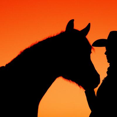 20230208 Sunset Araber8775