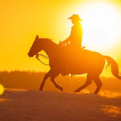 20230209 Fips Flame Schnee9263