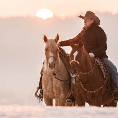 20230210 Handpferd0805