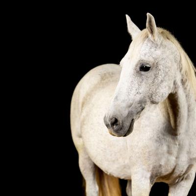 20210926 226 Holishooting 854 9411