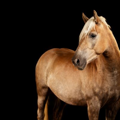 20210926 261 Holishooting 854 9447