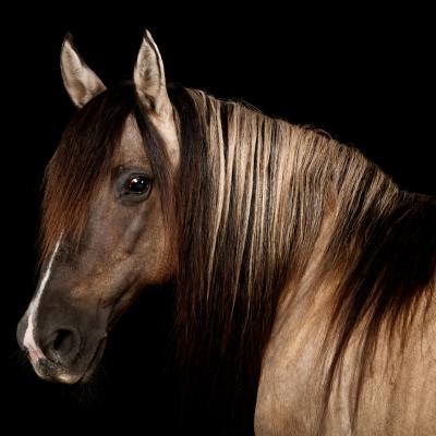 20220812 Empfingen 074 850 4386