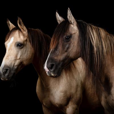 20220812 Empfingen 201 855 2712 Ohne