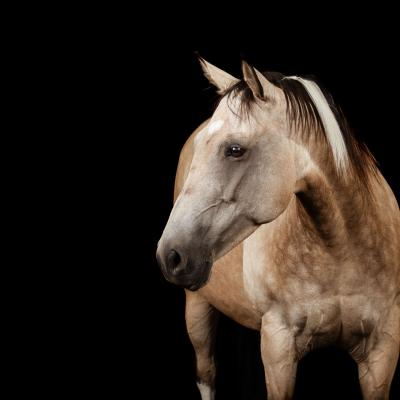 20220812 Empfingen 305 855 2789