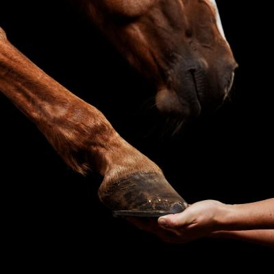 20220812 Empfingen 376 855 2832