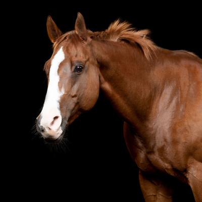 20220812 Empfingen 402 855 2861