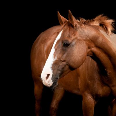 20220812 Empfingen 427 850 4506