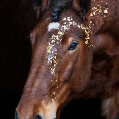 20221130 Loretta Gold1356