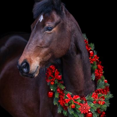 20221213 Ramira Kranz3101