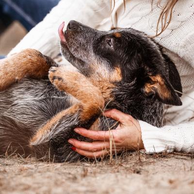 20230331 Buddy Alex5831